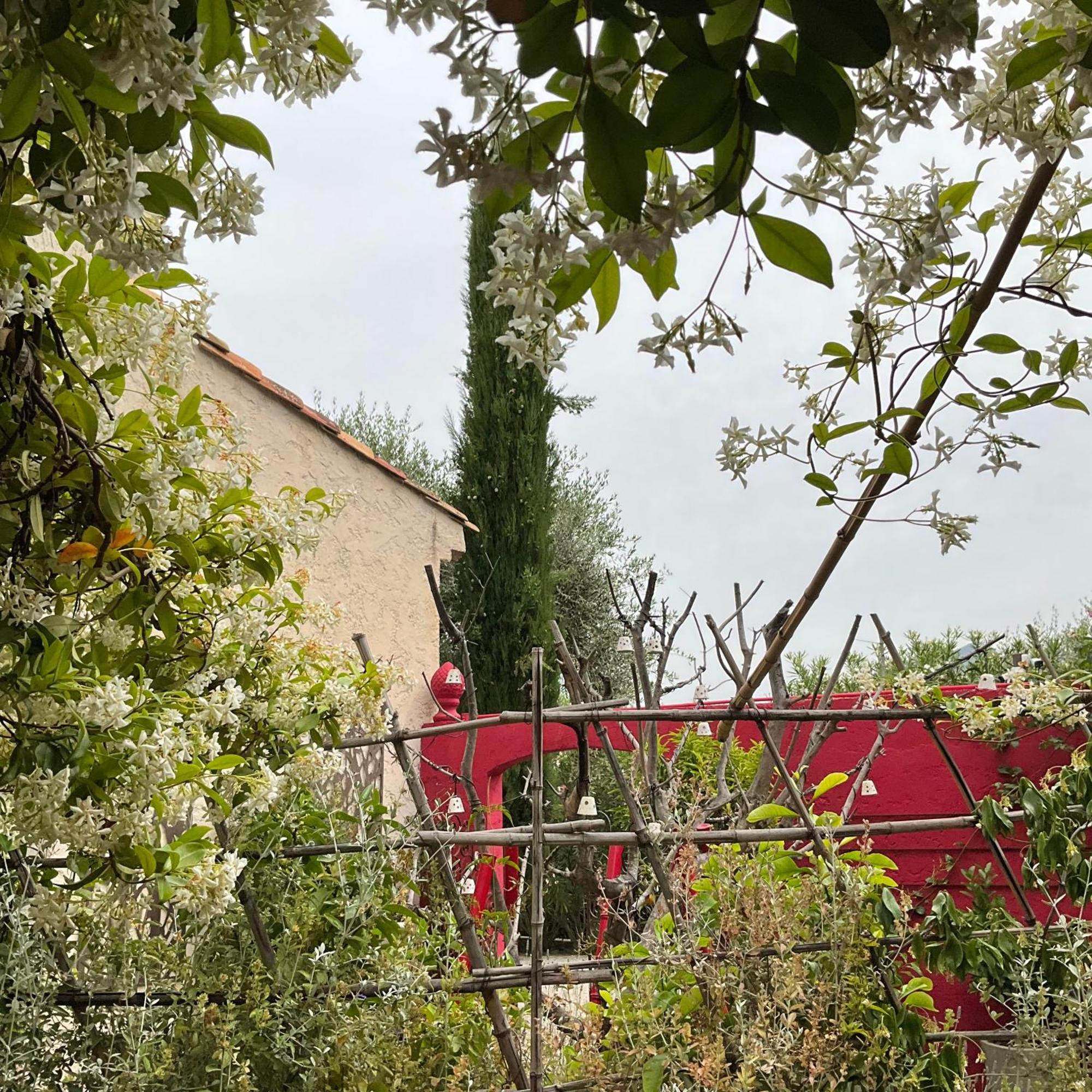 Отель Mas De Provence En Riviera La Roquette-sur-Var Экстерьер фото