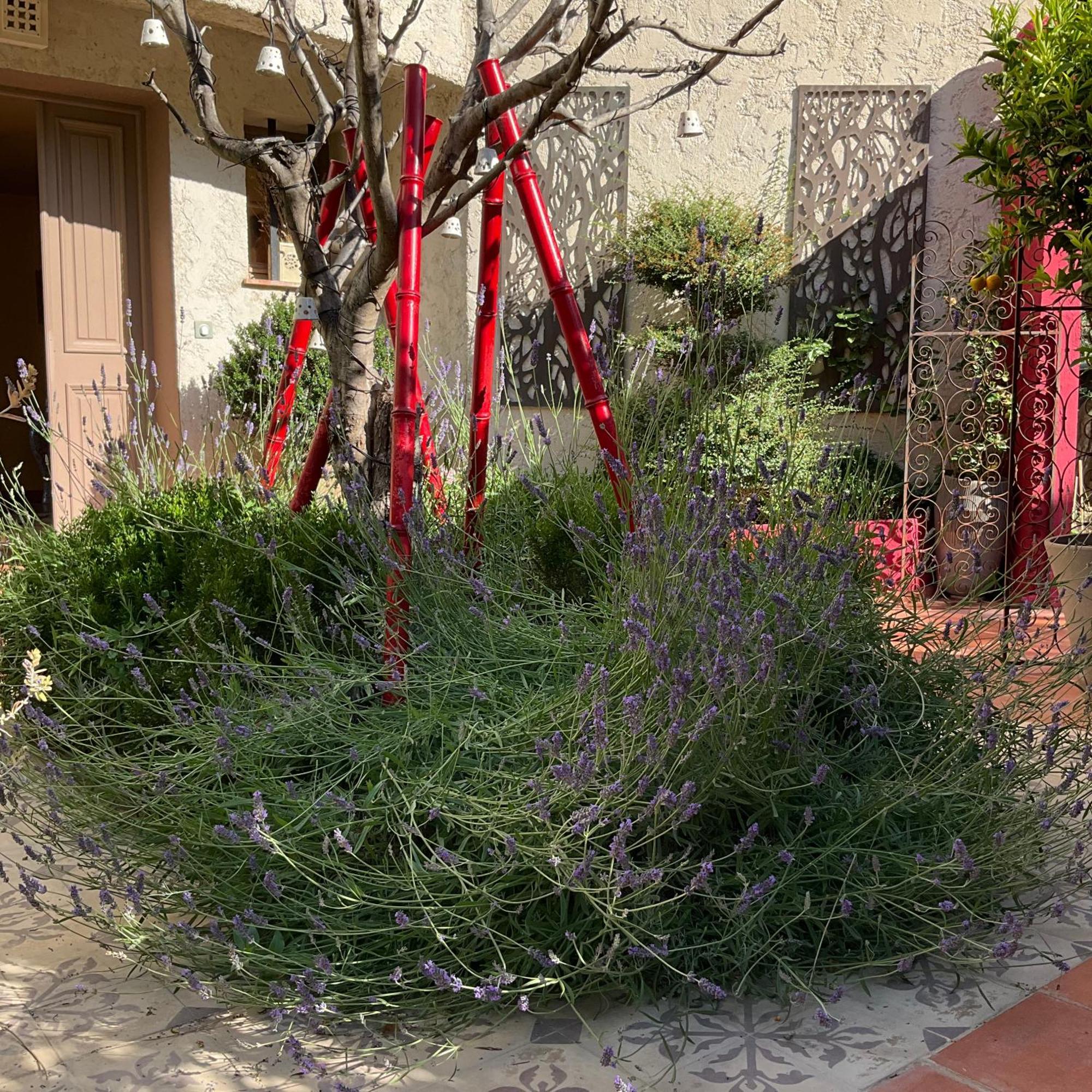 Отель Mas De Provence En Riviera La Roquette-sur-Var Экстерьер фото